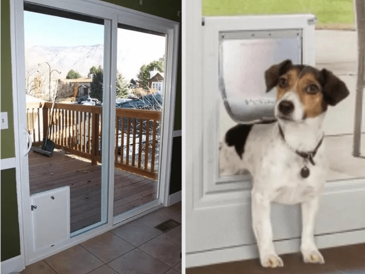 Repair Glass Pet Doors, Mirrors, and Sliding Glass Doors