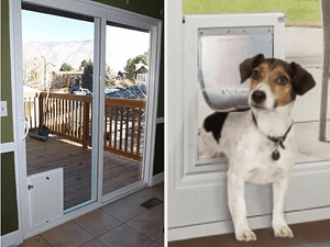 Repair Glass Pet Doors, Mirrors, and Sliding Glass Doors
