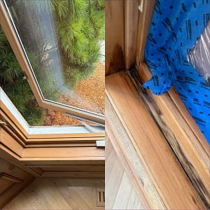 window repair and window parts in Blaine MN